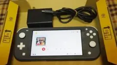 動作OK　Nintendo Switch Lite グレー 本体　充電器付き