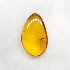 美品 虫入り 琥珀 化石 本物 バルト海産 ケース付 11.90mm ab251