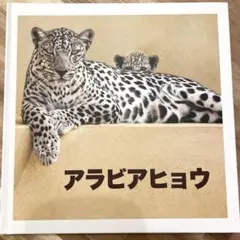 サウジアラビア 絵本