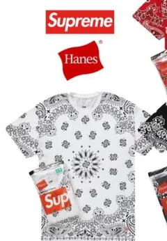 Supreme Hanes バンダナ柄 Tシャツ Lサイズ 1回着用