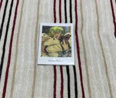 巴日和 ぱしゃっつ Action vol.5