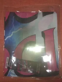 Item thumbnail for item 261ce3cb-54b2-48f6-b180-acd8adf23d80