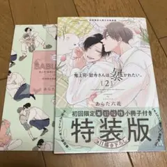 鬼上司・獄寺さんは暴かれたい　2　特装版　小冊子付き　あらた立花　bl　コミック