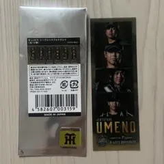 阪神タイガース B-LUCK シークレットフォトグレイ 梅野