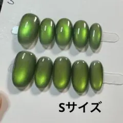 【セツ】マグネット　ネイルチップ　付け爪(A1494)