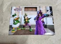 ディズニーシー　イースター　スペフォ