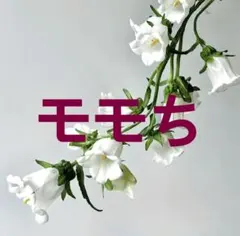 Item thumbnail for item bc990277-0ea3-4c82-bb43-77b9029ccf11