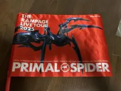 THE RAMPAGE フラッグ