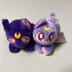 Item thumbnail for item 709fc604-9b02-41f9-a667-b4542d5c5792