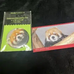 円山動物園 レッサーパンダ エイタ 缶バッジ セイタカード