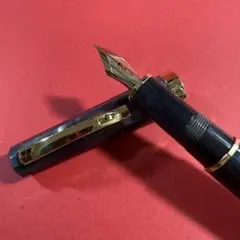 パーカー 万年筆 マーブル模様 ゴールドトリム - メルカリ