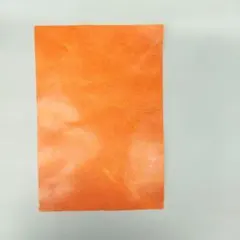 Item thumbnail for item 2b4e4b57-1900-43ff-8580-9a0fb94661b0