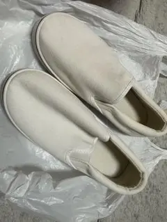 Item thumbnail for item 8febf821-c09e-427f-a9b7-933e0226262c