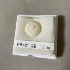 天然　白珊瑚　ルース　玉菊　15.5mm