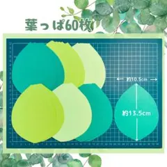 牆面裝飾 綠葉 春 初夏 夏 季節葉子 保育 學校 高齡者設施⑥