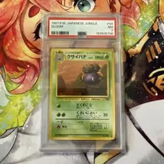 PSA7 1997年 旧裏 クサイハナ ポケカ ポケモンカード