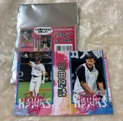 ライラ⭐️値段交渉OK‼️様 リクエスト 2点 まとめ商品