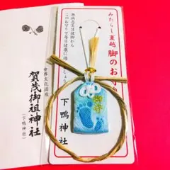 限定≪みたらし祭・脚・水色≫【京都　下鴨神社】パワースポット：ベルばら：祇園祭