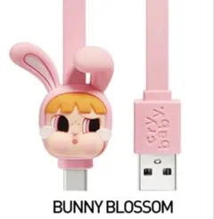 CRYBABY× PowerpuffGirls Cable type-C 充電器