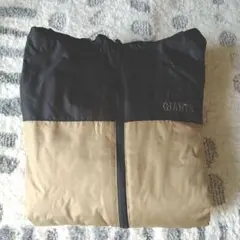 Item thumbnail for item 229ffd50-58f9-4533-a93b-e941953760a3