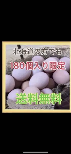 코친 180