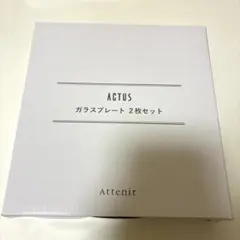 アテニア　ACTUS ガラスプレート　２枚のサムネイル