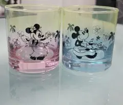 東京ディズニーリゾート ミッキー ミニー グラス 2個セット