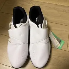 Item thumbnail for item bbc278c1-e39e-4731-8e64-e921e09d0ba0