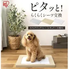 アイリスオーヤマ 犬 トイレしつけ　スクエアドッグトレー マグネット レギュラーのサムネイル
