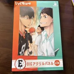 ハイキュー!! BIGアクリルパネル
