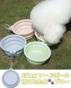 Item thumbnail for item 3c17fa23-7706-47d1-8231-a7d550e171b9