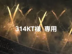 314KT様 専用ページ
