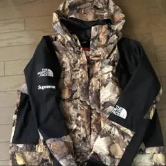 Supreme ノースフェイス 枯れ葉 マウンテンパーカー M