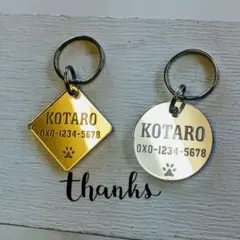 Item thumbnail for item 5ede2c1b-b1fc-4bd4-b94d-1e91db478ded