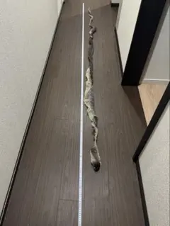 Item thumbnail for item f680d6f2-70b4-4c0a-8f9a-28b94afdabfd