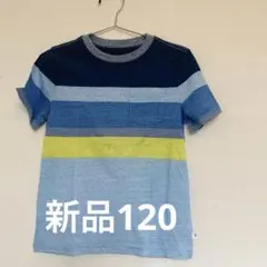 gap Tシャツ　120 新品