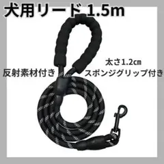 Item thumbnail for item 725572ab-dcfc-42c7-8598-b2d58a7df11a