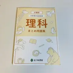 Item thumbnail for item 105f43b8-1780-4ba9-a3c9-b476be29110c