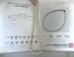 2026年最新】白蝶真珠 南洋真珠 パールの人気アイテム - メルカリ