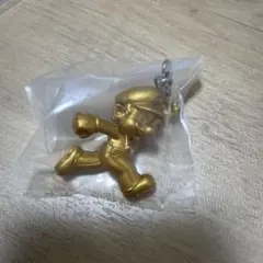 マリオ　めじるしアクセサリー シークレット