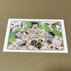 名探偵コナン 鈴木園子 毛利蘭 江戸川コナン ポストカード
