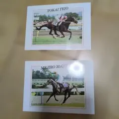 メジロマックィーン&トウカイテイオー　ポストカード　2枚セット