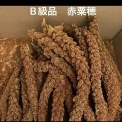 Item thumbnail for item 9ee09fd5-d9a8-42ab-97ce-86f3331b921e