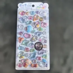 ボンボンドロップ うみのいきもの