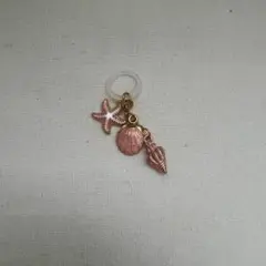 めじるしアクセサリー　貝殻　ピンク