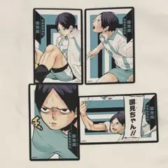 ハイキュー マンガボドゲ 国見英