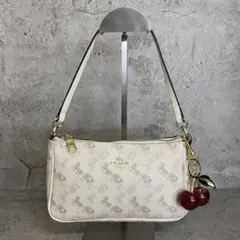 美品 コーチ アクセサリーポーチ バッグ シルバー レザー 斜め掛け お出かけ用 美品 コーチ アクセサリーポーチ バッグ シルバー レザー 斜め掛け