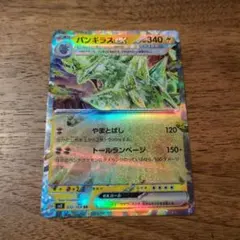 ⭐︎【Pokémon】ルンパッパ U XY5 タイダルストーム 016/070 - メルカリ