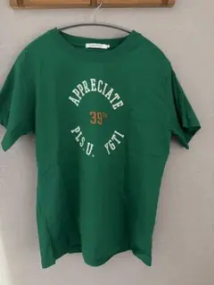 AMERICAN HOLIC グリーン Tシャツ Lのサムネイル