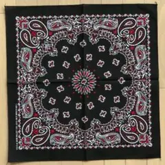 HAV-A-HANK ペイズリーバンダナ　Black & Red 4枚セット